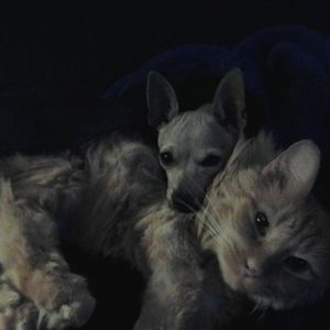 Meet your Posher, Ann